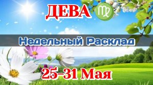ДЕВА♍ Недельный расклад 25-31 МАЯ /Таро Прогноз/Сферы жизни