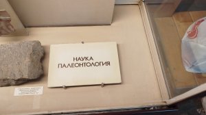 Наука палеонтология (Палеонтологический музей имени Ю. А. Орлова)