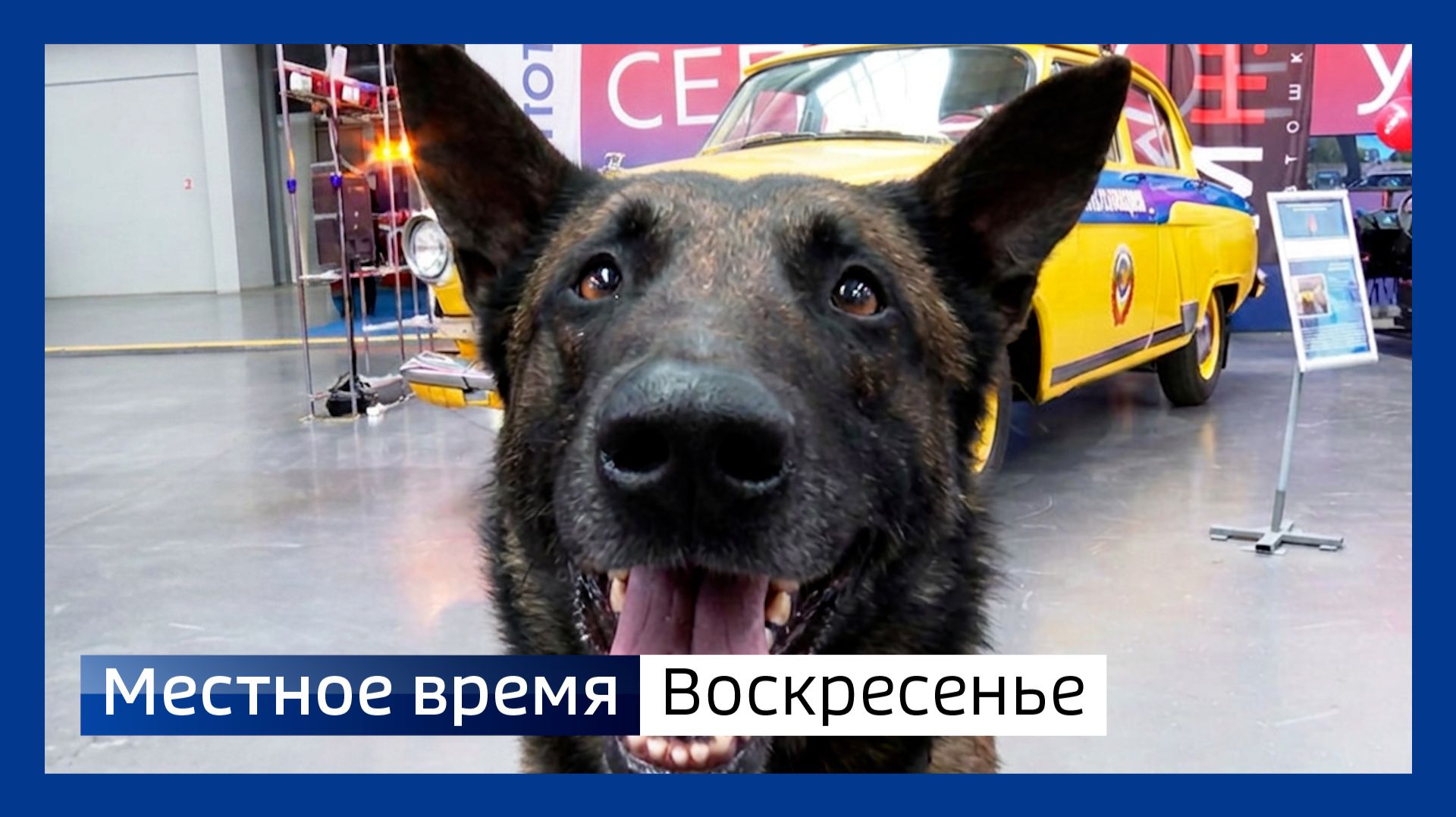 Местное время. Воскресенье 240526