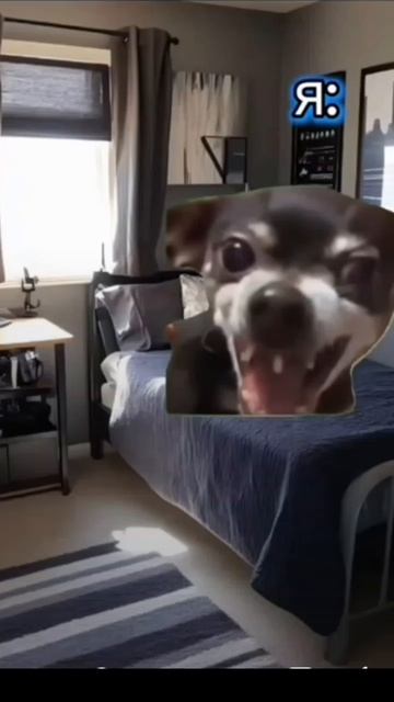 Прикольчик😅 смотреть онлайн
