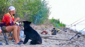 ПАЛКУ В ДУГУ И ПОТАЩИЛ В ТРАВУ рыбалка на сазана летом