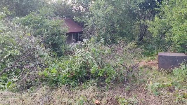 Купили заросшую дачу #2