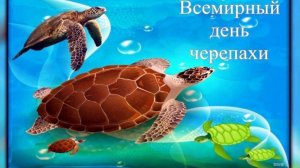 Всемирный день черепахи.  Черепаха — символ мудрости, богатства и долголетия