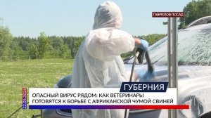 Опасный вирус рядом: как ветеринары готовятся к борьбе с африканской чумой свиней