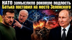 План НАТО разоблачён – Россия в него не попадётся! Зеленский в ярости – Батька его раскусил!