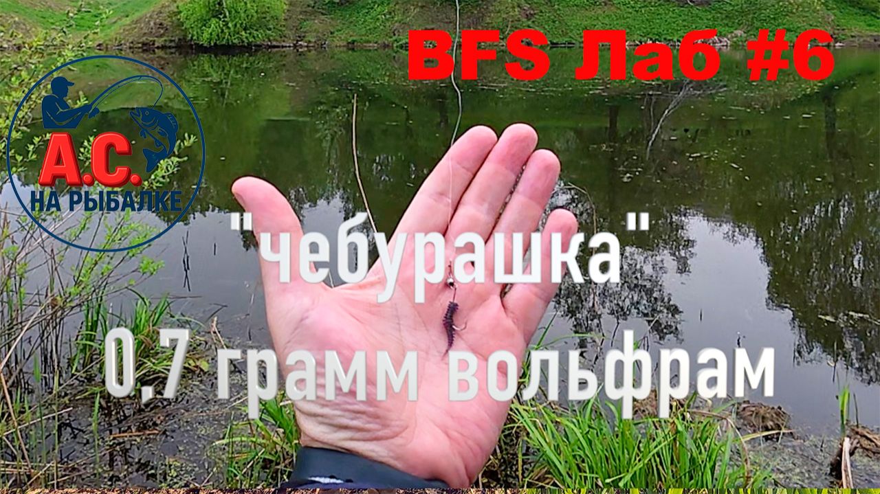 BFS ЛАБ #6 Почему мормышинг набирает популярность?