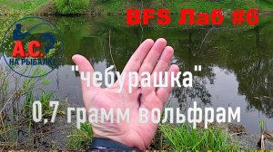 BFS ЛАБ #6 Почему мормышинг набирает популярность?