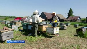 Пчеловоды Башкортостана начали подготовку к новому сезону