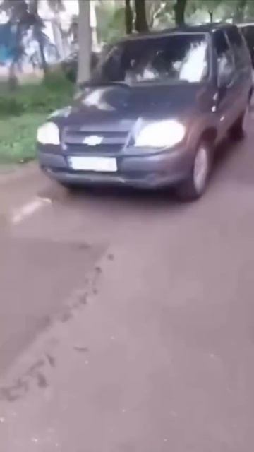 ЦеЕвропейская движуха.