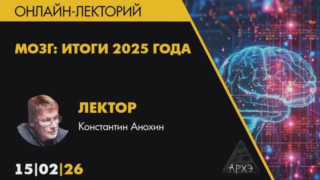 Константин Анохин - Мозг, научные итоги 2025 года (15 февраля 2026)