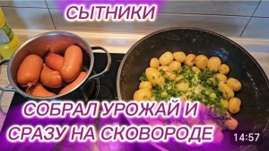 САМВЕЛ АДАМЯН, СЫТНИКИ, СОБРАЛ УРОЖАЙ И СРАЗУ НА СКОВОРОДЕ..