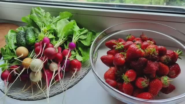 Как начала заниматься огородом! Старое видео о даче!