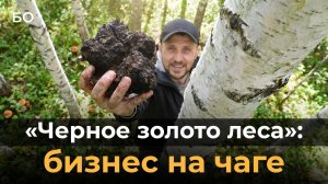 Бросил руль и построил бизнес с нуля. Как дальнобойщик из Татарстана стал лечить людей чагой