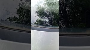 1000045918.mp4