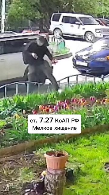 Можно ли срывать цветы с придомовой территории?