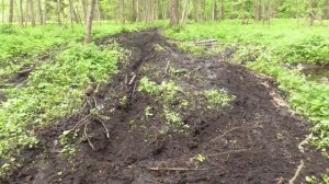 Тропа разбита мотоциклами и квадроциклами
