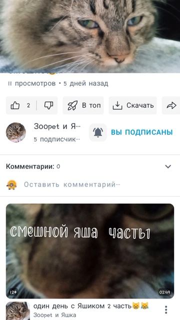 1000011529.mp4 смотреть онлайн