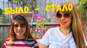 МЕНЯЮ ОБРАЗ. РАЗГОВОРЫ В САДУ.