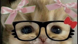 дя)ᴨиɯᴇʍ ʙ ᴋоʍʍᴇнᴛиᴋи!и уᴩᴀᴀᴀᴀᴀᴀᴀ)ʙ ᴧᴀйᴋᴇ ужᴇ 200 ᴨодᴨиᴄчиᴋоʙ!у ʍя)ᴄᴨᴀᴄибо ʙᴀʍ и ᴋоᴛяᴛᴀʍ ʙ ᴧᴀйᴋᴇ