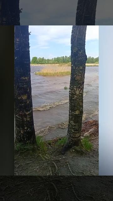 Лахта 👐