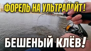 Форель на ультралайт. Азарт рыбалка на ПЛАТНИКЕ. Бешеный клев форели. Клюет на каждом забросе.