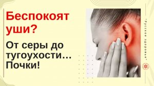 Беспокоят уши? От серы до тугоухости… Почки!
