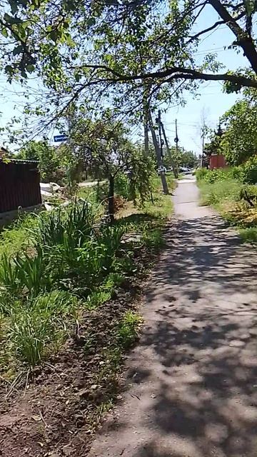 1798.mp4 смотреть онлайн