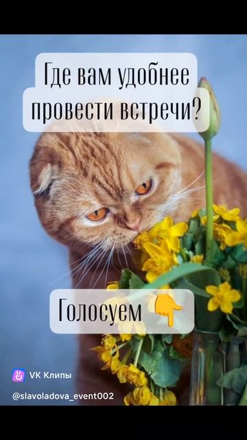 Практический английский: основа языка за 5 дней