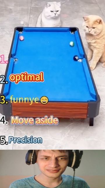 Бедный Рыжий Котик...
