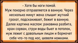 #анекдоты #юмор #Вирус #Тренды #Развлечения #Смешно #смешныеанекдоты