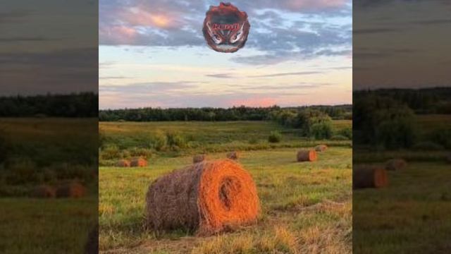 summer edit смотреть онлайн