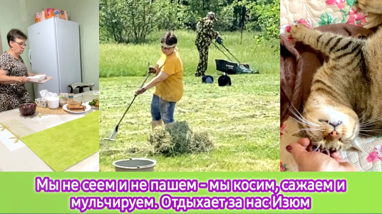 Мы не сеем и не пашем - мы косим, сажаем и мульчируем. Отдыхает за нас Изюм смотреть онлайн