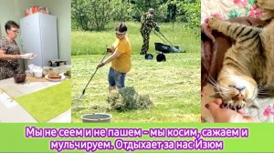 Мы не сеем и не пашем - мы косим, сажаем и мульчируем. Отдыхает за нас Изюм