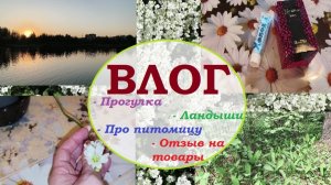 ВЛОГ.Прогулка.Ландыши.Про питомицу.ОТЗЫВ на товары