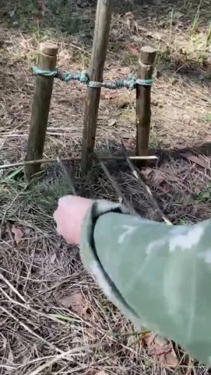Видео от Походы Выживание Бушкрафт