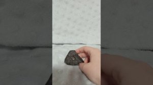 моё 1 открытие. я нашёл метеорит