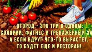 Фитнес по-деревенски (песня и клип ИИ)😀🏡
