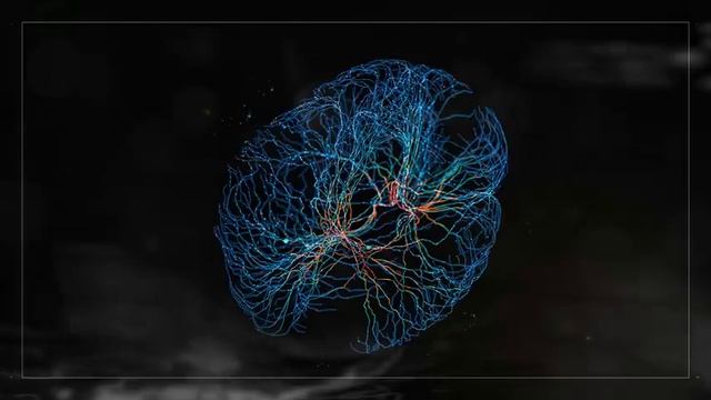 Glitches and Paradoxes in Consciousness-854x480-avc1-mp4a смотреть онлайн