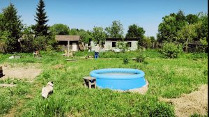 Готовлюсь к поездке. Окрошка на обед. Бассейн для 🐕Показываю перевязку