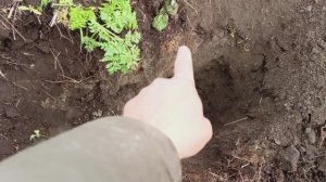 Нашел интересный фундамент