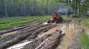 т-25 по лесной дороге