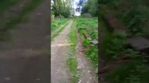 просто стрим