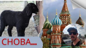 Мы покинули Ферму ради этого…