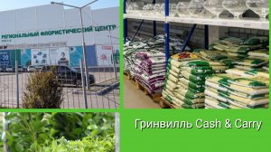Обзор магазина Гринвилль Новосибирск, май 2026