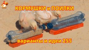 Кормушки и поилки для кур своими руками 255 🪚✂️ Пошаговая инструкция как сделать 🐔 🐓❣️