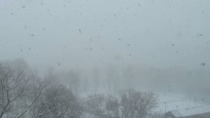 Апрельская метель в Москве