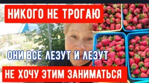 263🏡Руки опускаются/Разочарование/Не хочу этим заниматься/Копируют контент, своего ума нет