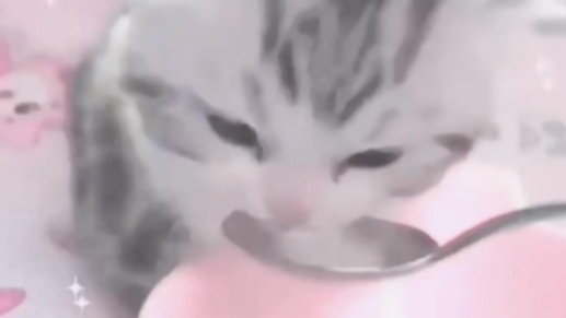 ййй