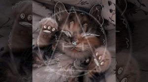 ʙоᴨᴩоᴄ оᴛʙᴇᴛ!ʙ оᴨиᴄᴀниᴇ!!!!/ᴨо ᴨᴩоᴄьбᴇ ᴨодᴨиᴄчицы