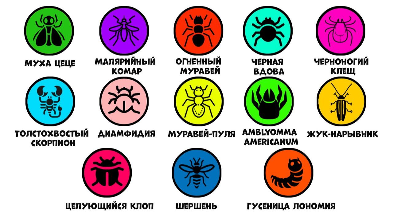 Все смертельно опасные насекомые за 11 минут смотреть онлайн